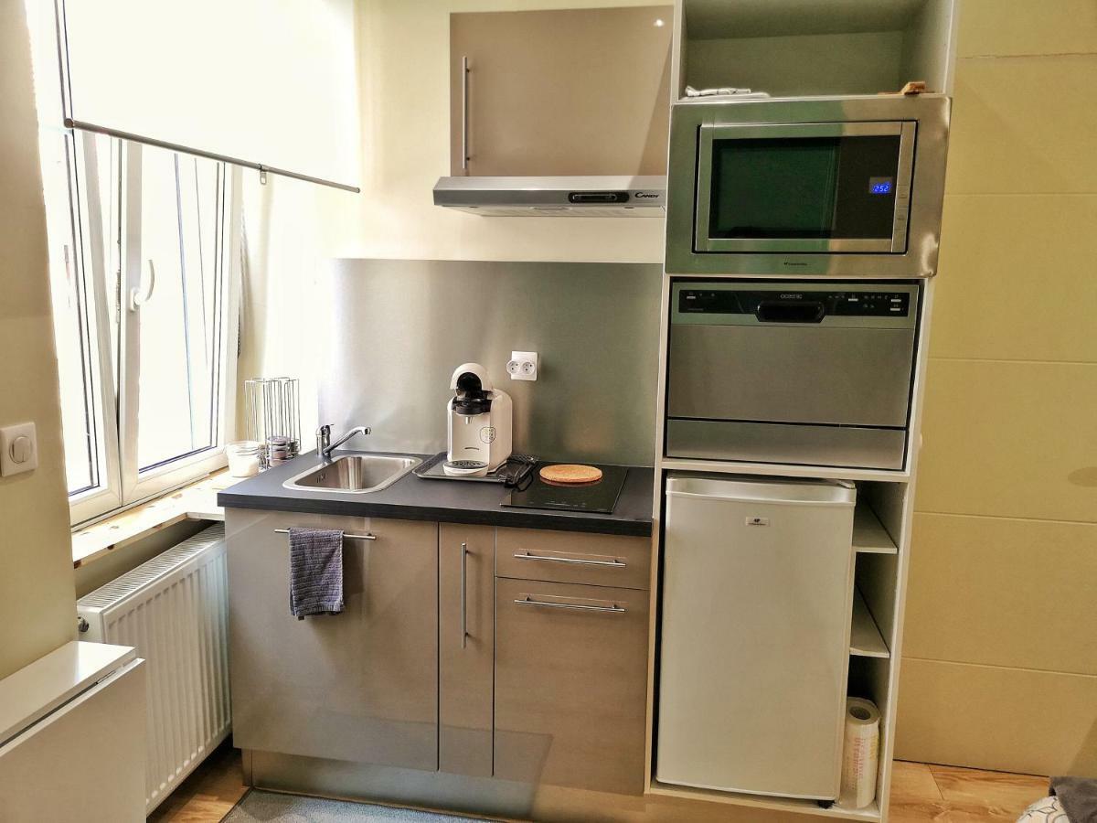 Splendide Studio Centre קולמר מראה חיצוני תמונה